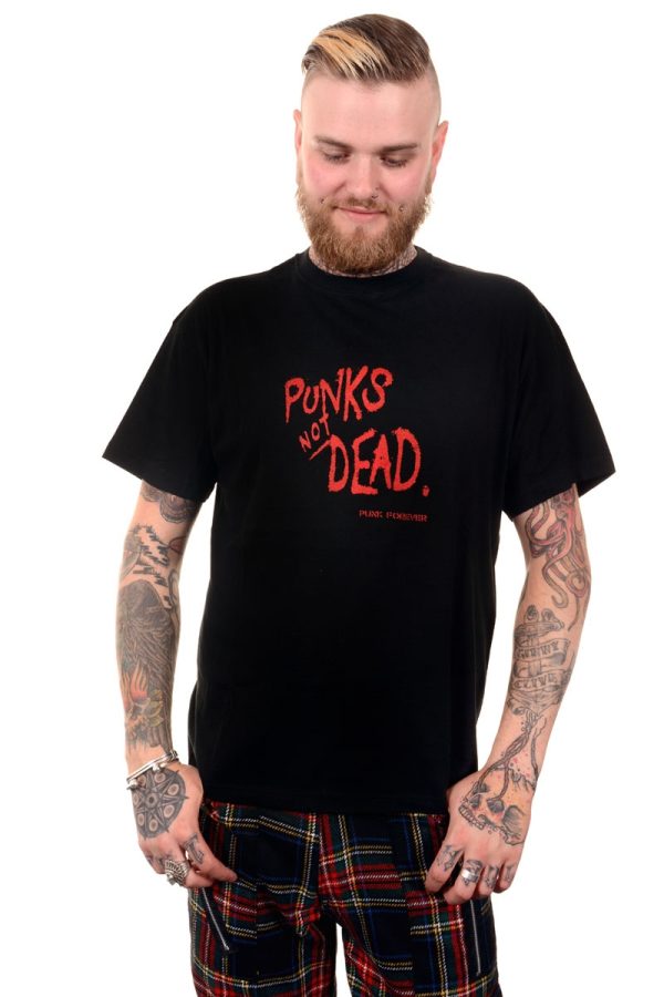 BBZ548 Punks not Dead Mens Tee