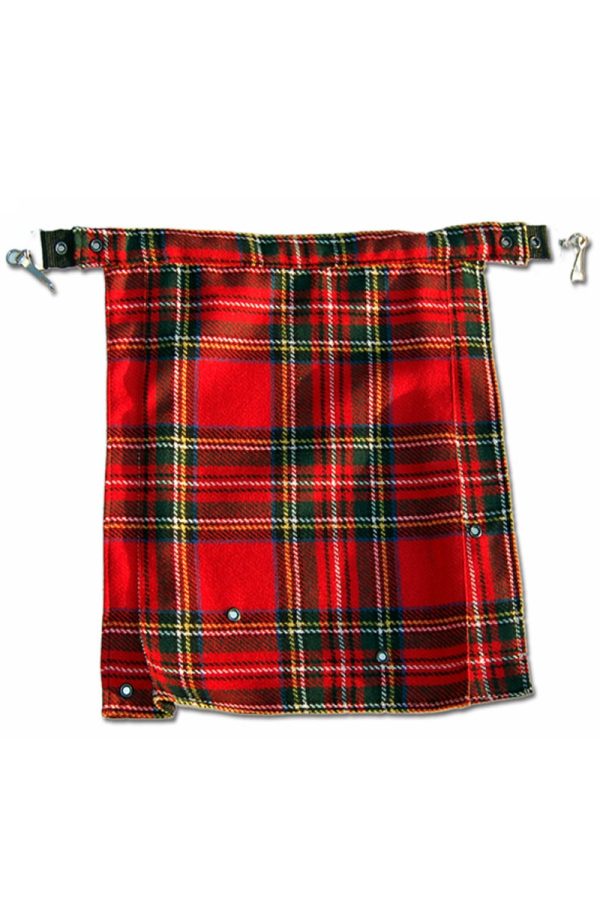 Small Tartan Bumflap-10108